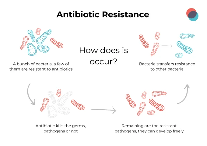 Antibiotic Resistance in Nigeria