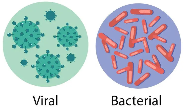 Bacterial vs Viral Infections: What Nigerians Need to Know