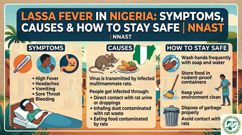 Lassa Fever in Nigeria: Symptoms, Causes & How to Stay Safe